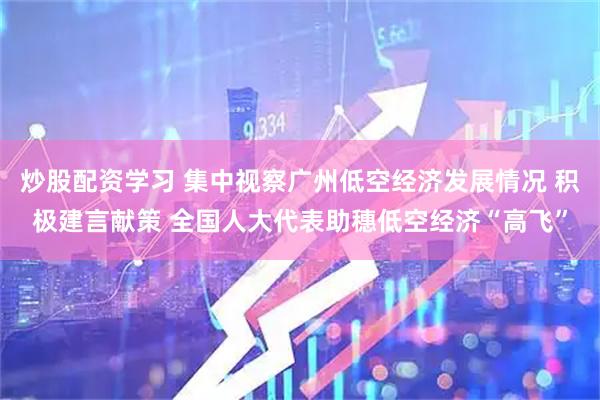 炒股配资学习 集中视察广州低空经济发展情况 积极建言献策 全国人大代表助穗低空经济“高飞”